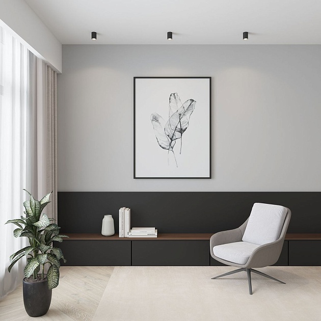 Потолочный светильник Denkirs Neat DK3110-BK Фото № 6