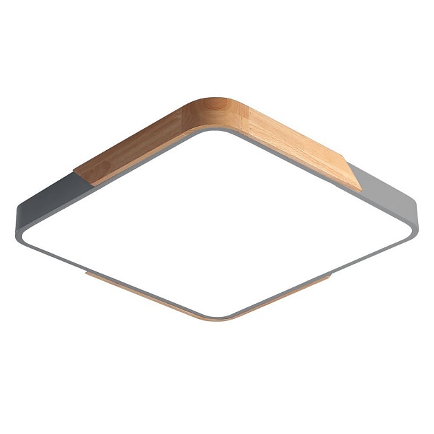 Потолочный светодиодный светильник Jazzway PPB Sсandic-S 5037373 Фото № 1