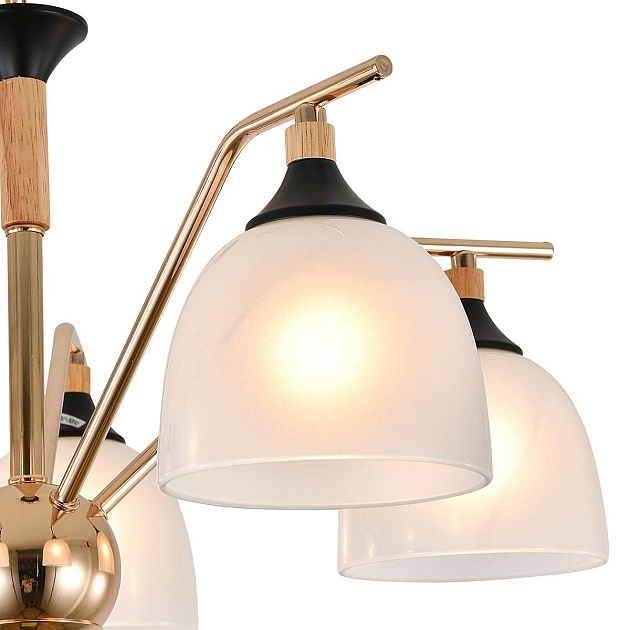 Подвесная люстра Escada Actinidia 2123/5P изображение 3 Подвесная люстра Escada Actinidia 2123/5P Фото № 3