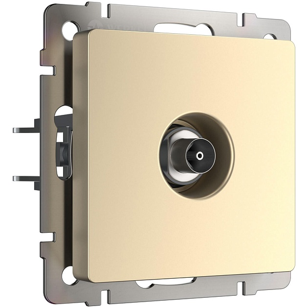 ТВ-розетка оконечная Werkel шампань W1183011 4690389157516 Фото № 1