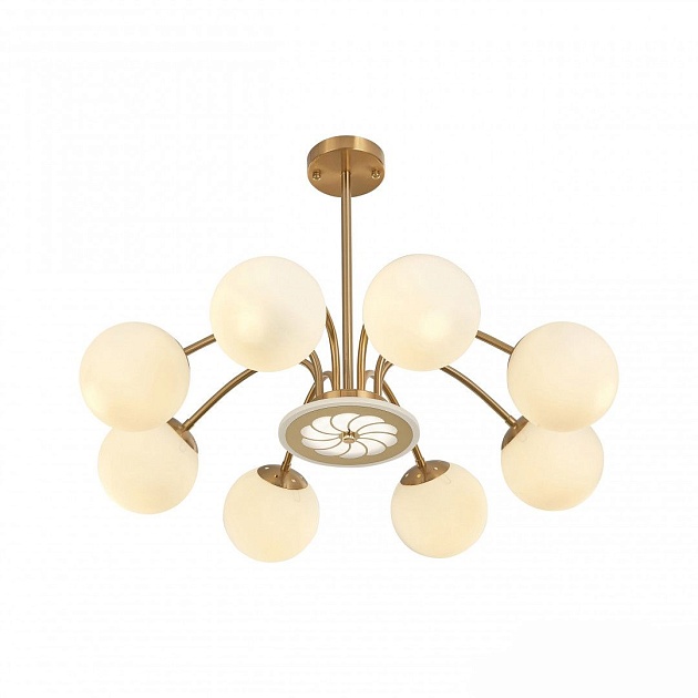 Подвесная люстра Arte Neapol71069 271069/8 GD изображение 8 Подвесная люстра Arte Neapol71069 271069/8 GD Фото № 8