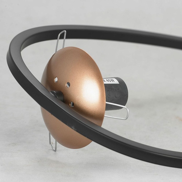 Потолочная люстра Lussole Loft Chilton LSP-8410 Фото № 2