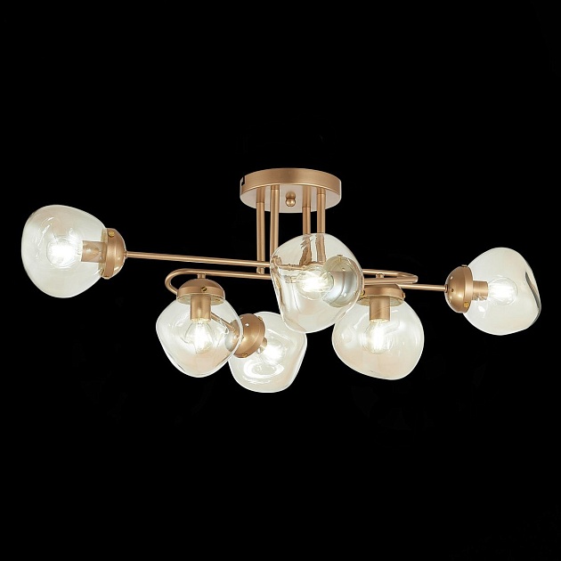 Потолочная люстра Evoluce More SLE155702-06 Фото № 2