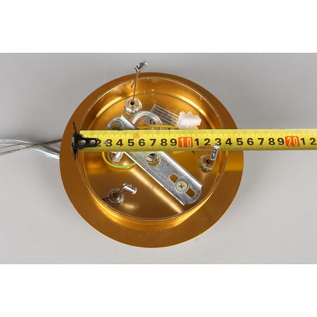 Подвесная люстра Aployt Gertunia APL.847.03.10 Фото № 3