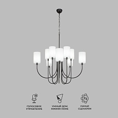 Подвесная люстра Eurosvet Abbey 60164/10 черный Smart 4