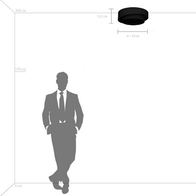 Потолочный светодиодный светильник Lightstar Celesta 809416 Фото № 3