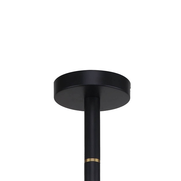 Подвесная люстра Favourite Eternity 2766-8P Фото № 3