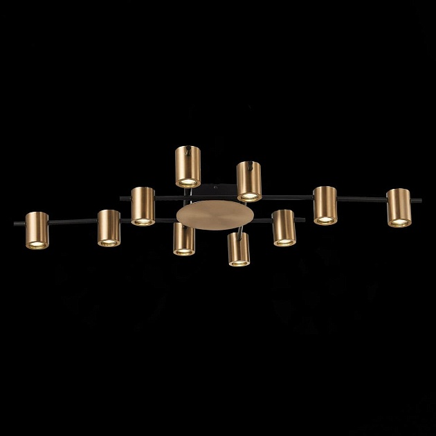 Потолочная люстра ST Luce Veroli SL1207.402.10 Фото № 3