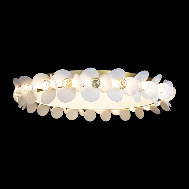 Потолочный светодиодный светильник Loft IT Bride 10176 Фото № 2