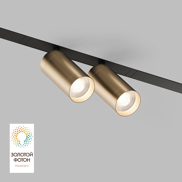 Трековый светодиодный светильник Denkirs Smart Spot DK8012-BG Фото № 1