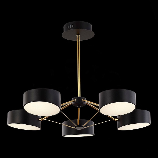 Потолочная светодиодная люстра Evoluce Valle SLE6005-402-05 Фото № 5