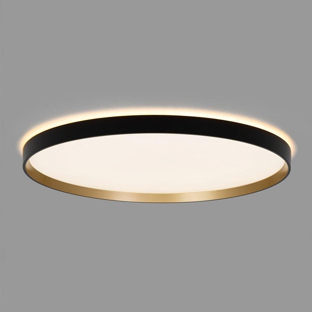 Светильник с пультом Citilux ETALON CL750501R Фото № 13