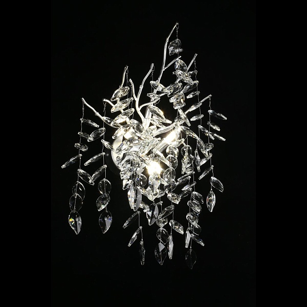 Настенный светильник Aployt Gertunia APL.847.11.03 Фото № 7