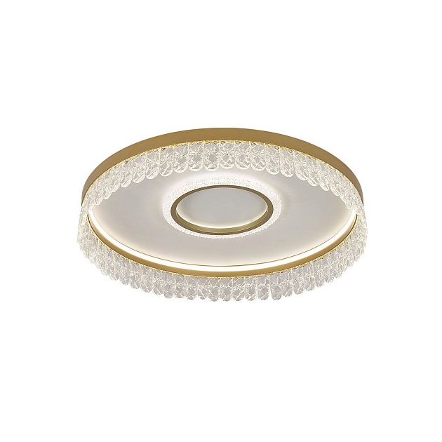 Потолочный светодиодный светильник F-Promo Lunetta 4186-2C Фото № 2