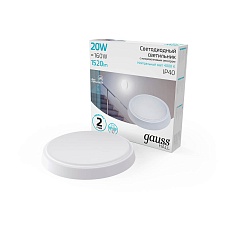 Настенно-потолочный светодиодный светильник Gauss Hall 193411220-S 1