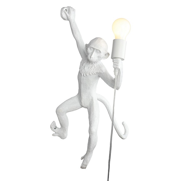 Светильник настенный Aployt Magali APL.309.11.01 Фото № 1