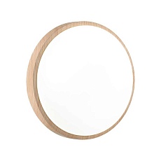 Настенно-потолочный светодиодный светильник Sonex Losta 7607/AL 1