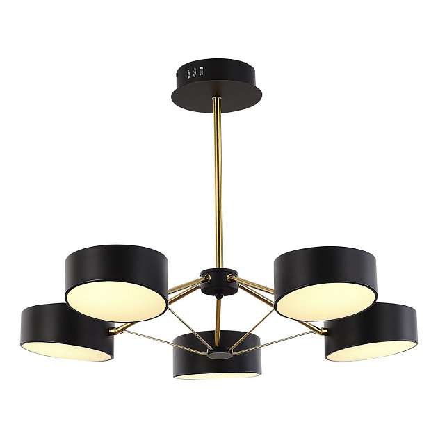 Потолочная светодиодная люстра Evoluce Valle SLE6005-402-05 Фото № 4