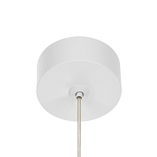 Подвесной светильник Citilux Bruno CL565010 4