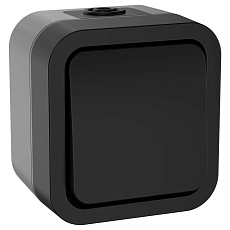 TORS Выключатель двухполюсный одноклавишный 10А IP55 TS111 графит IEK TS-V16-0-10-55-K53