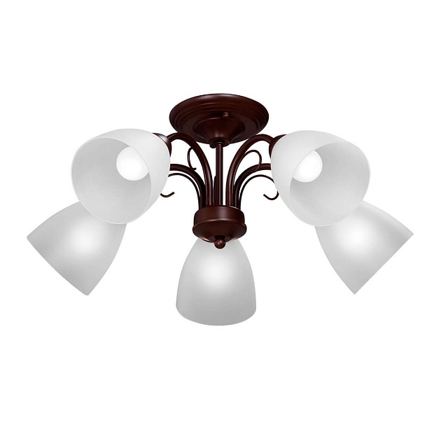 Потолочная люстра Vitaluce V3499/5PL изображение 1 Потолочная люстра Vitaluce V3499/5PL Фото № 1