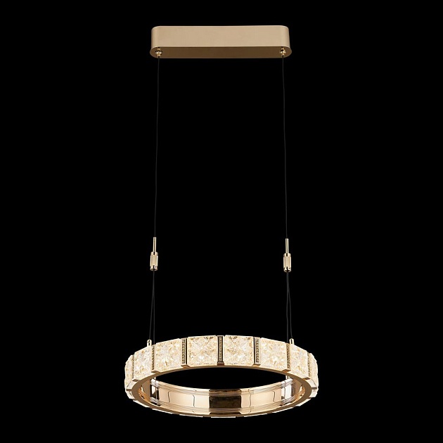 Подвесная светодиодная люстра Wertmark Vera WE458.01.303 Фото № 1