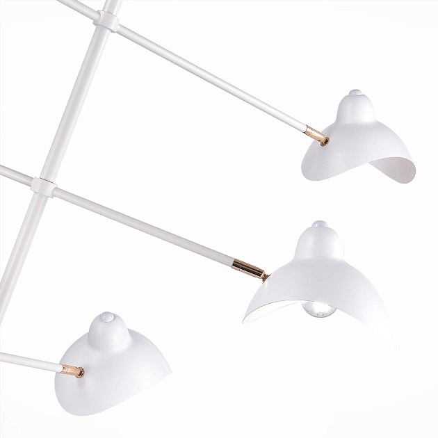 Подвесная люстра ST Luce Minne SL1801.503.06 Фото № 2