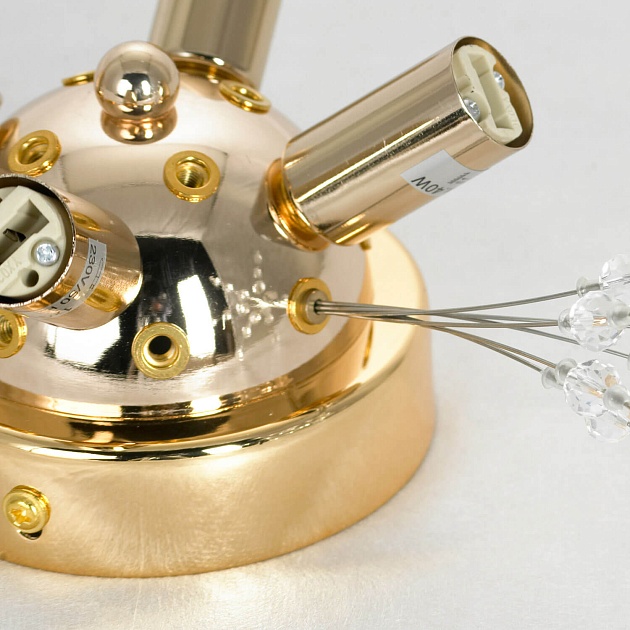 Потолочная люстра Lussole Loft Davie LSP-8781 изображение 4 Потолочная люстра Lussole Loft Davie LSP-8781 Фото № 4