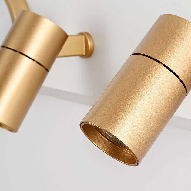 Потолочная светодиодная люстра Favourite Planar 4075-2C Фото № 6