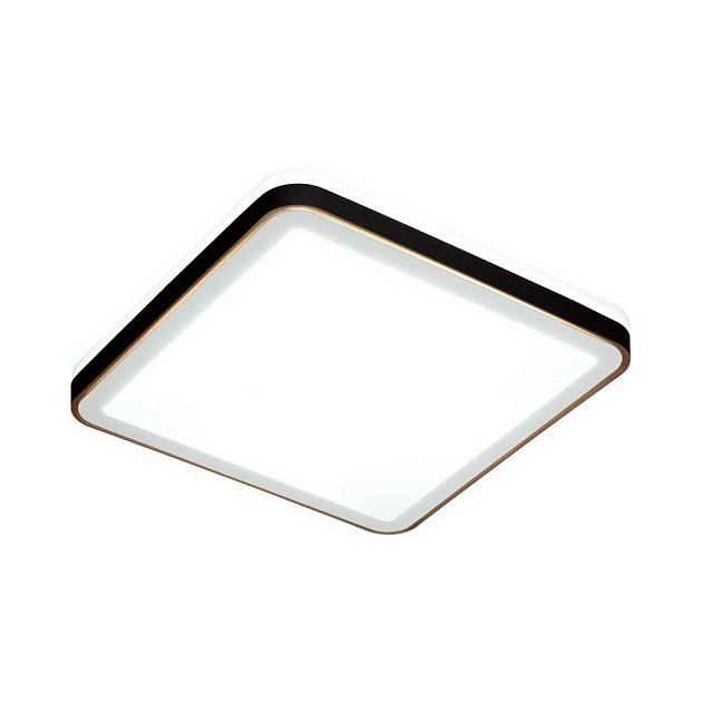 Настенно-потолочный светодиодный светильник Sonex Akuna 7621/DL Фото № 3