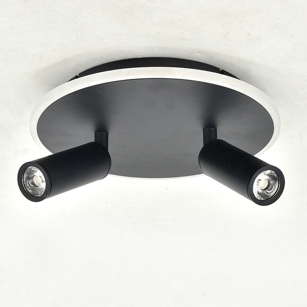 Потолочный светодиодный светильник Escada 20046SMA/02LED BK Фото № 3