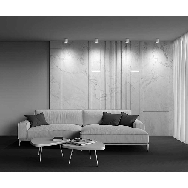 Потолочный светильник Maytoni Technical Polar C088CL-GX53-W изображение 7 Потолочный светильник Maytoni Technical Polar C088CL-GX53-W Фото № 7