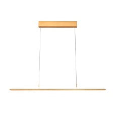 Подвесной светильник Vele Luce Futuro VL7224P01