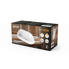 Настенно-потолочный светильник Gauss 926602206 3