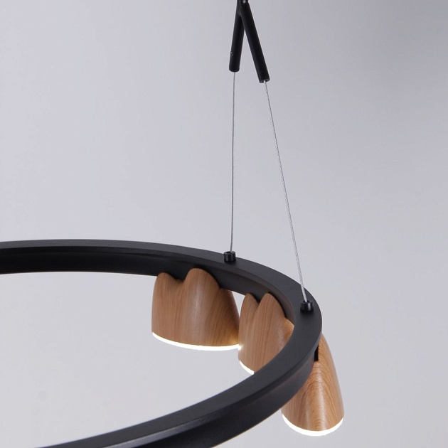 Подвесная светодиодная люстра Favourite Interline 4266-21P Фото № 6