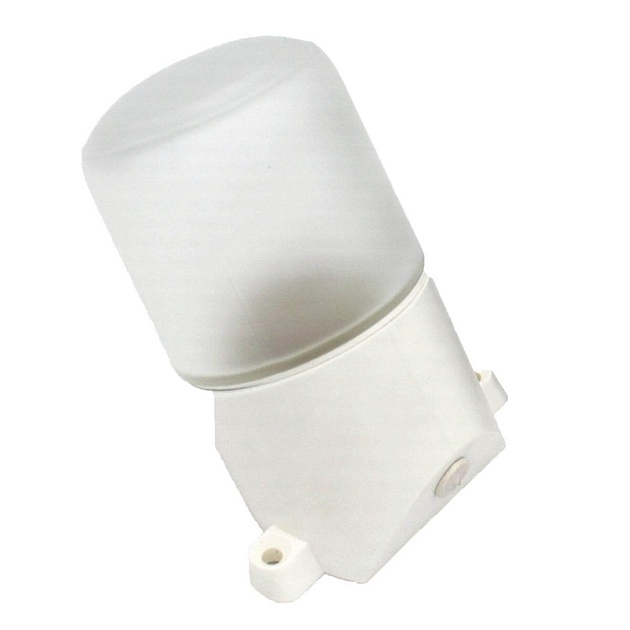 Настенный светильник ЭРА Лидер НББ 01-60-002 Б0048407 Фото № 1