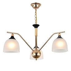 Подвесная люстра Escada Actinidia 2123/3P 3