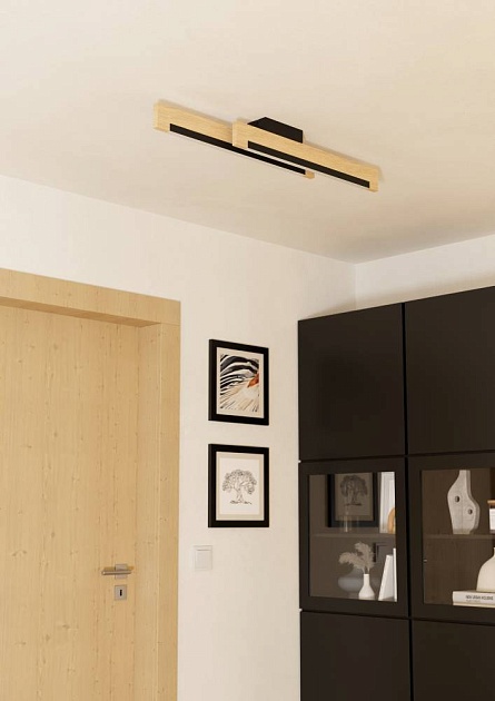 Потолочный светодиодный светильник Eglo Camacho 901736 Фото № 4