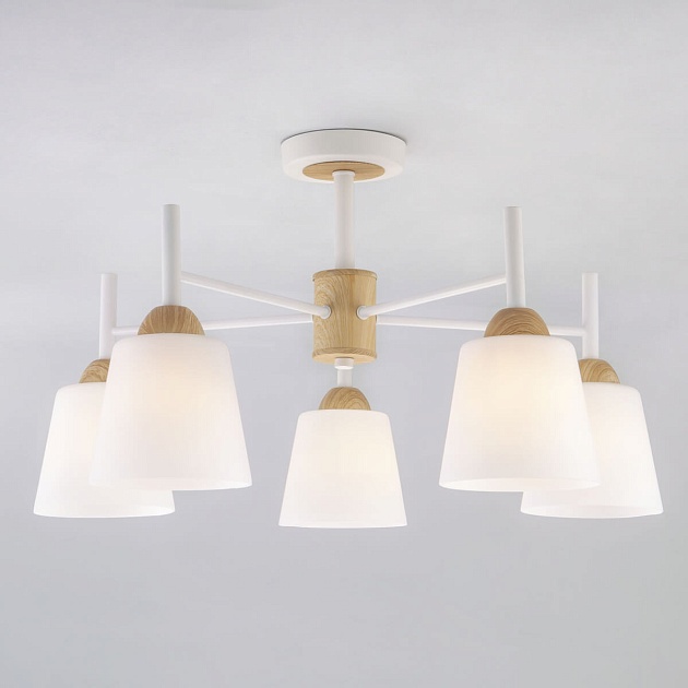 Потолочная люстра Eurosvet 70085/5 белый Фото № 1