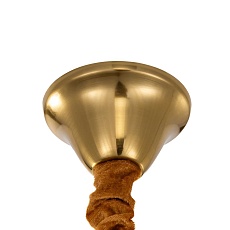 Подвесная люстра Citilux Ricky CL314253 4