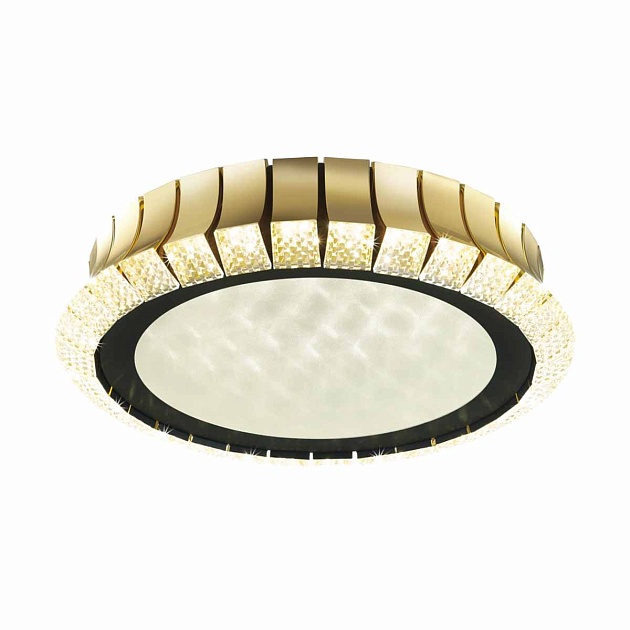 Потолочный светодиодный светильник Odeon Light Asturo 4994/75L Фото № 2