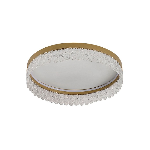 Потолочный светодиодный светильник F-Promo Lunetta 4186-1C Фото № 1