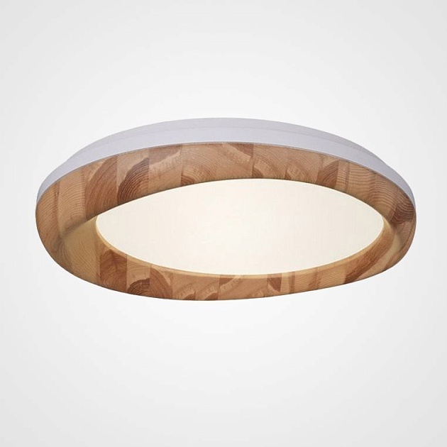 Потолочный светодиодный светильник Imperium Loft Runis 219476-26 Фото № 1