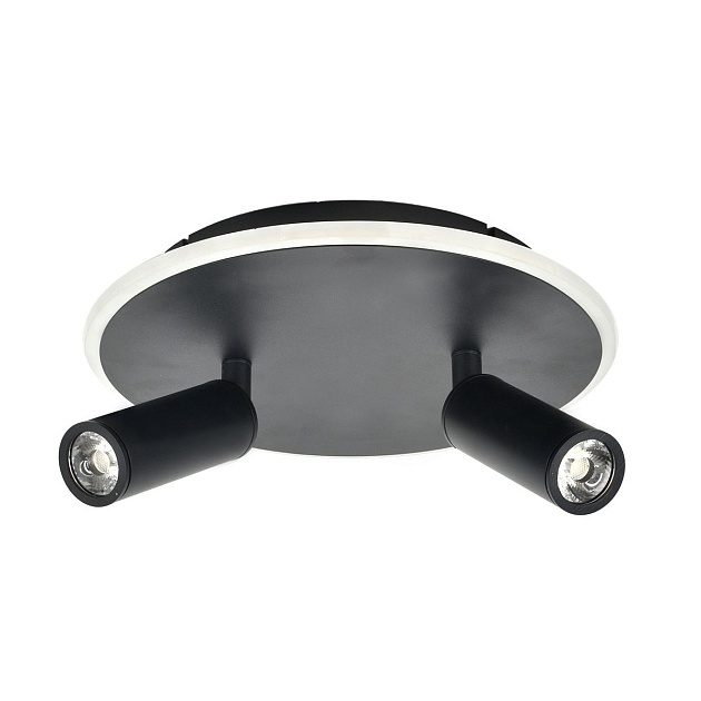 Потолочный светодиодный светильник Escada 20046SMA/02LED BK Фото № 1