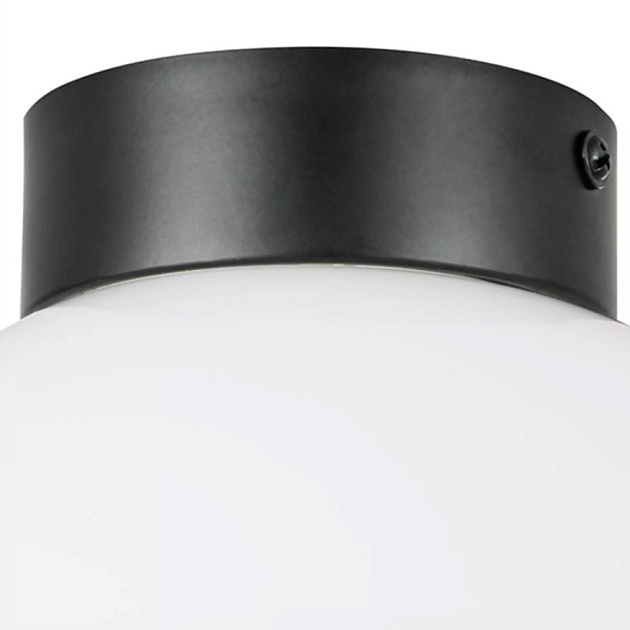 Настенно-потолочный светильник Lightstar Globo 812117 Фото № 2