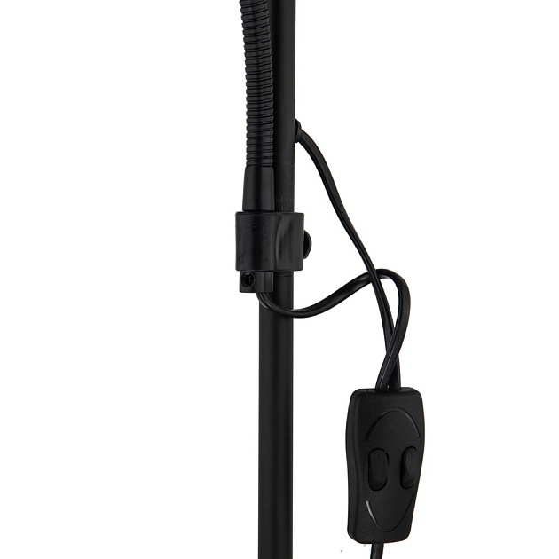 Торшер Arte Lamp Duetto A9569PN-2BK Фото № 3