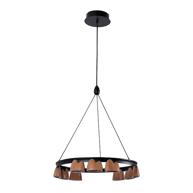 Подвесная светодиодная люстра Favourite Interline 4266-9P Фото № 1