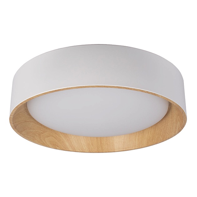 Потолочный светодиодный светильник Loft IT Coin 10202 White Фото № 1