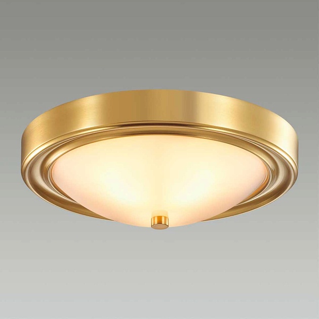 Настенно-потолочный светильник Lumion Vintage Nina 5259/2C Фото № 2