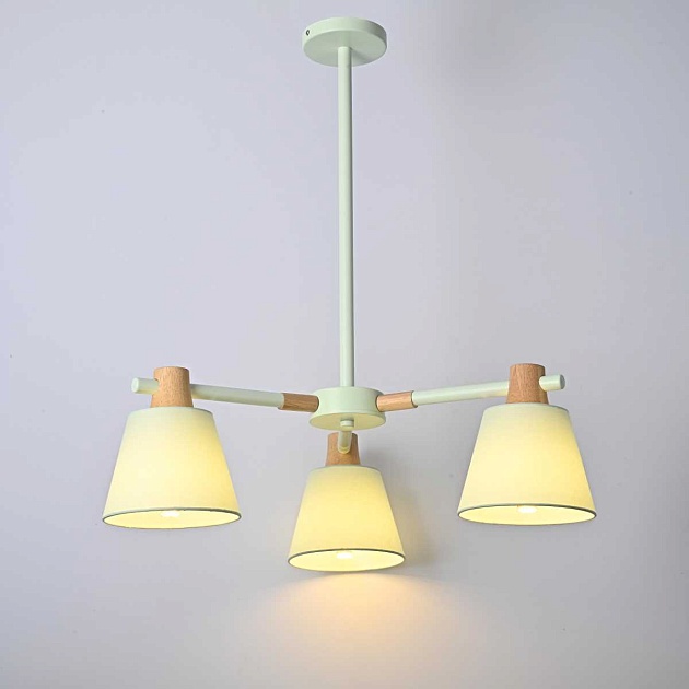 Подвесная люстра Imperium Loft Natura 101824-26 Фото № 3